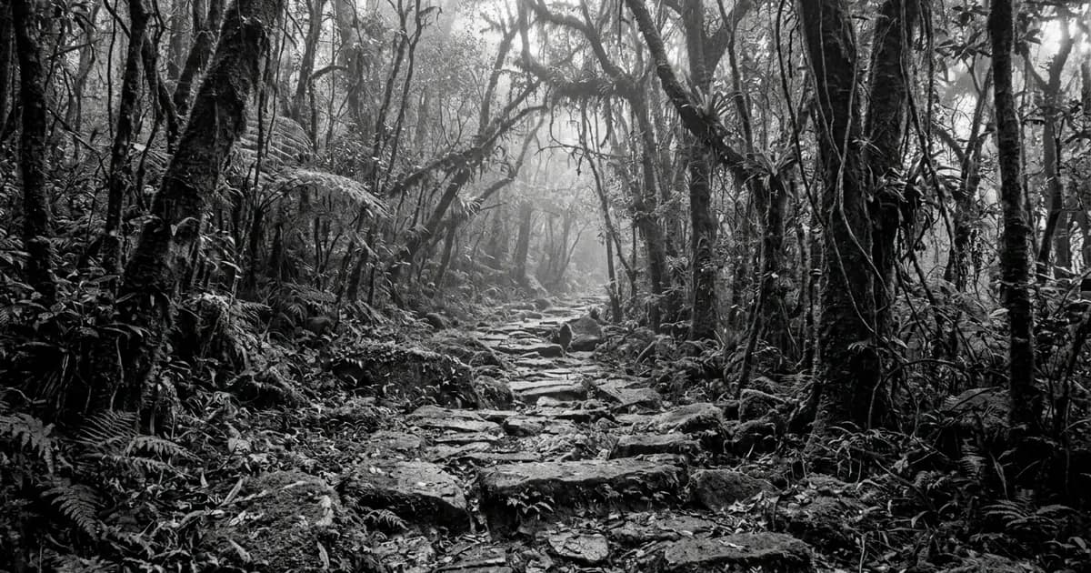 Peabiru Path: The Ancestral Indigenous Route That Linked Brazil to the Incas Under Archaeological Dispute