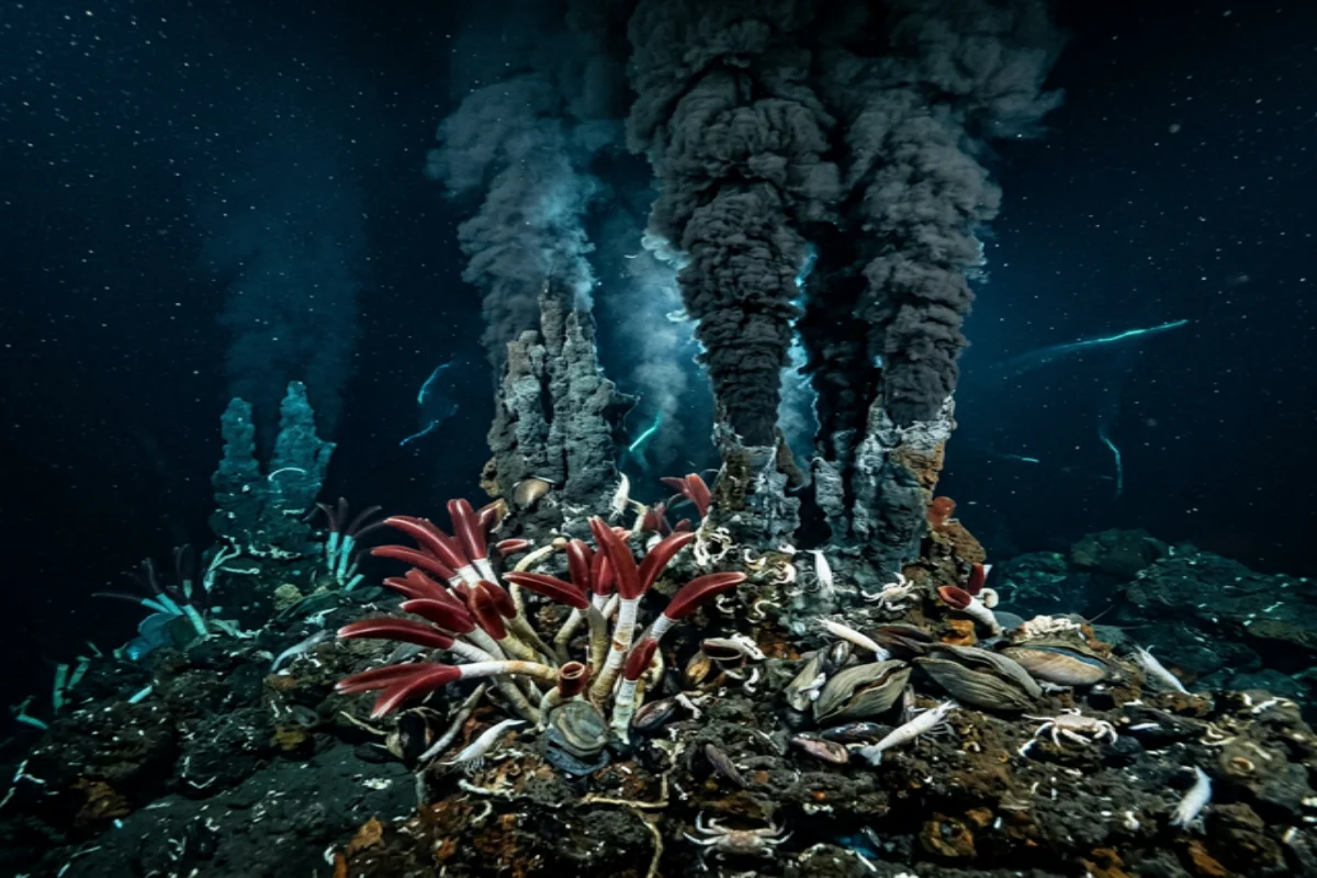 Fontes hidrotermais no fundo do oceano com fumarolas negras e organismos extremófilos como vermes tubulares e mexilhões gigantes
