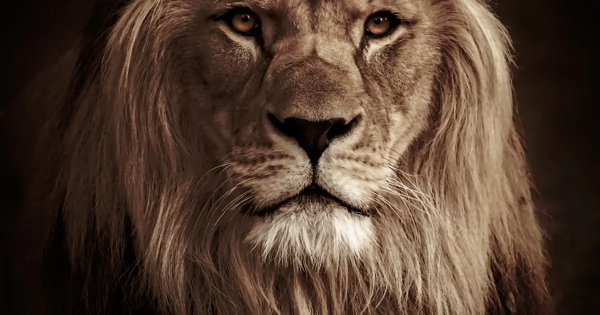 Animais Mais Perigosos do Brasil: Guia Completo