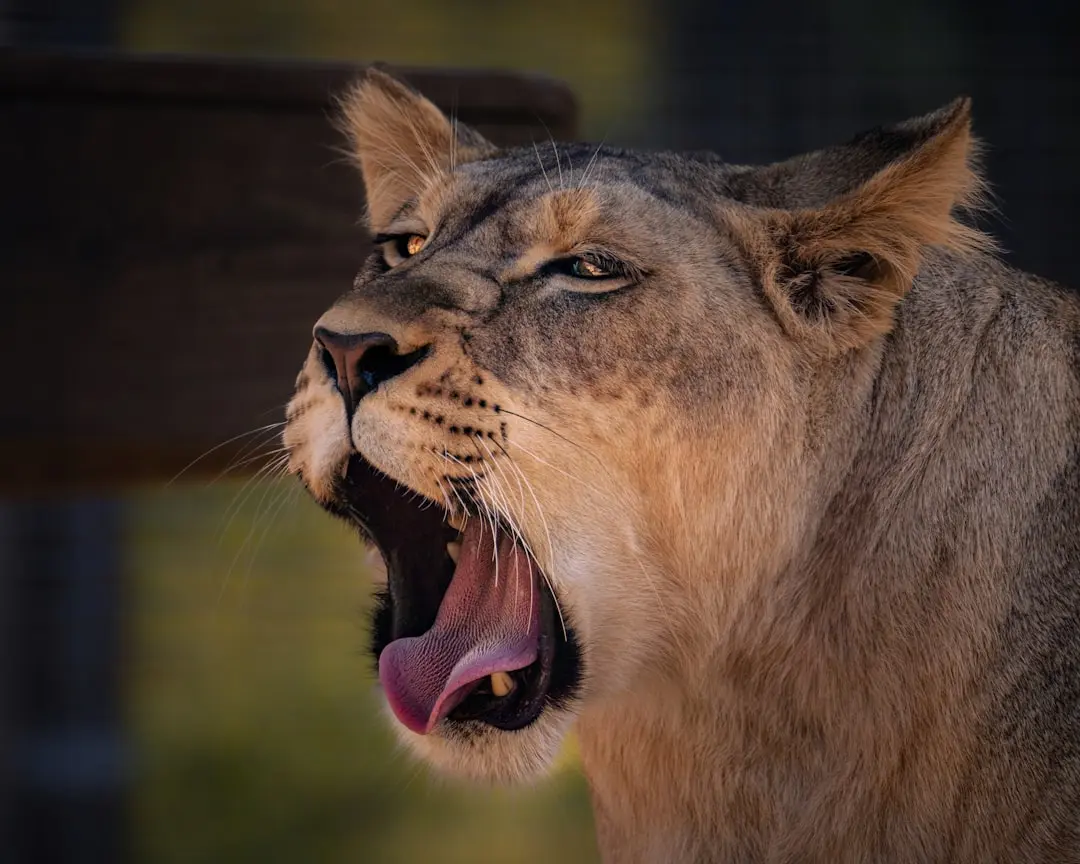 🦁 Animales Más Poderosos